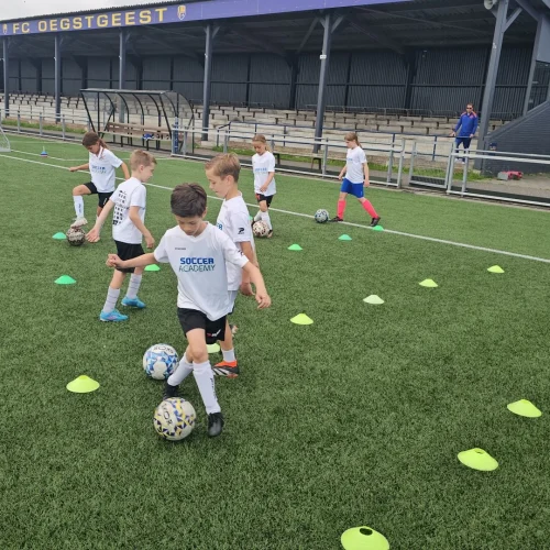 20240717_095318-high