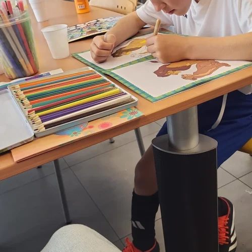 img-20240715-wa0017-high